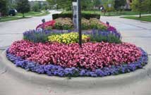 Flower Bed Installations