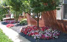 Flower Bed Installations