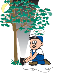 Landscape Lighting Services