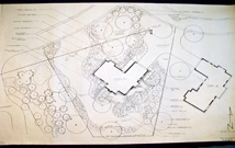 Landscape Design