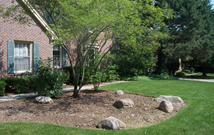 Landscape Design