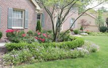 Landscape Design
