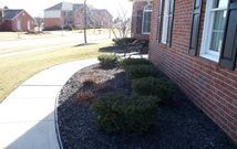 Landscape Design