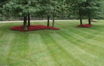 Lawncare Maintenance