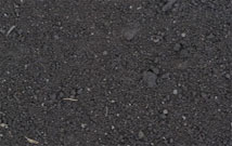 Michigan Peat Soil